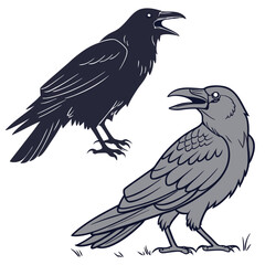 Obraz premium Dark and grey crows with open beaks raven bird