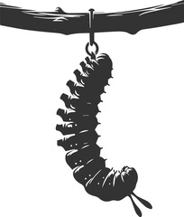 Insect vector nature bug animal silhouette black illustration drawing