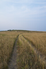 Prairie grasslands at Theodore Roosevelt National Park, North Dakota, USA