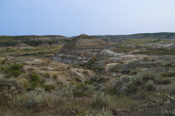 Petrified Forest at Theodore Roosevelt National Park, North Dakota