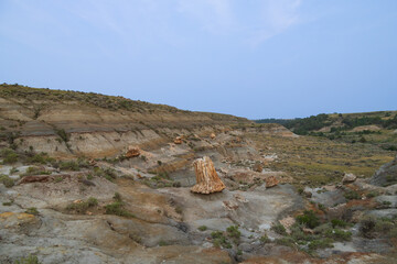 Petrified Forest at Theodore Roosevelt National Park, North Dakota
