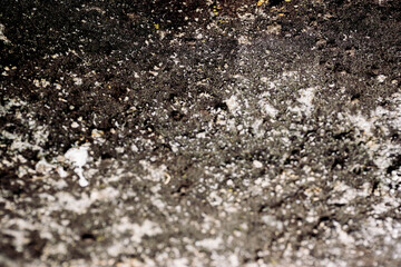 Rock Aphanitic Texture