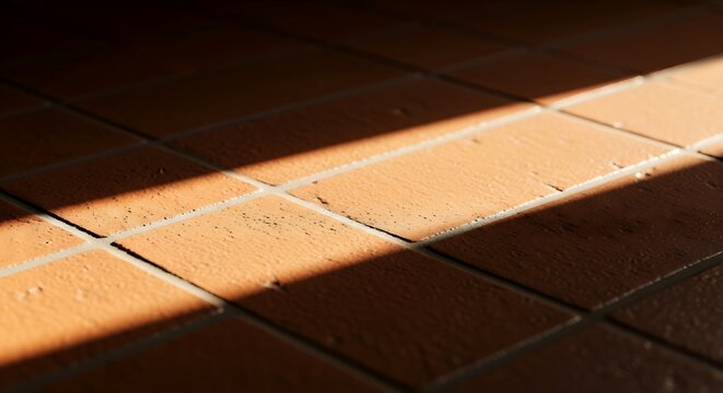 Warm sunlight casts a dramatic shadow on a terracotta tiled floor, creating texture and highlighting the grout lines.