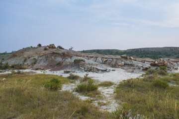 Petrified Forest at Theodore Roosevelt National Park, North Dakota