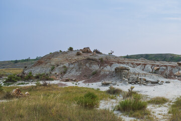 Petrified Forest at Theodore Roosevelt National Park, North Dakota