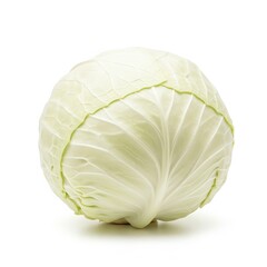 Single Pale Green Cabbage on White Background