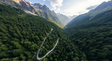 Aerial View of Winding Mountain Road Through Lush Green Forest