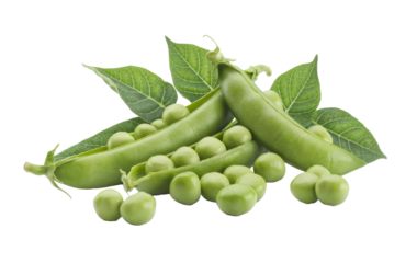 fresh green peas with leaves on transparent background