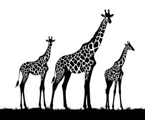 Obraz premium Tall and Wild: Giraffe Profile Artwork for Safari and Nature Designs