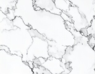 Obraz premium Marble granite white panorama background wall surface with elegant black pattern, 