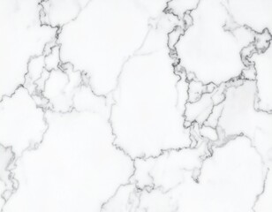 Obraz premium Marble granite white panorama background wall surface with elegant black pattern, 
