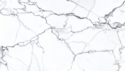 Marble granite white panorama background wall surface with elegant black pattern, 