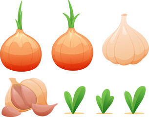onion and garlic vector illustration