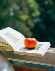 open book with apple