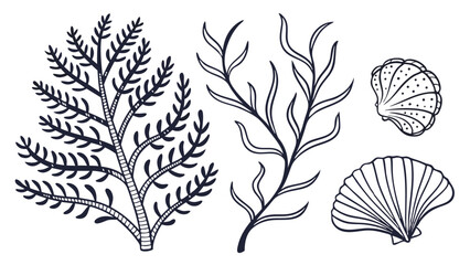 Fototapeta premium Collection of hand drawn marine life elements including seaweed and seashells