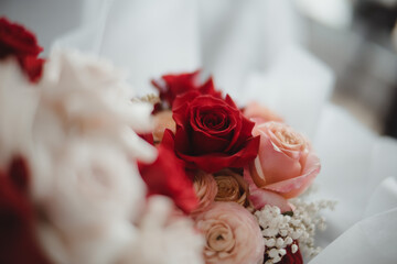 Red Roses