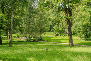 Summer Greenery and City Scenes in Oslo’s Slottparken Area 오슬로 슬로트파르켄 지역의 여름 초록과 도시 풍경