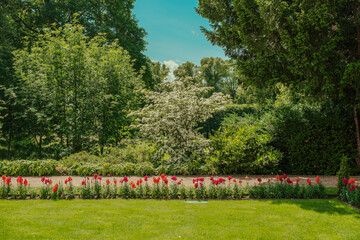 Obraz premium Colorful Flower Beds and Summer Benches in Oslo’s slottparken Park 오슬로 슬로트파르켄 공원의 화려한 꽃밭과 여름 벤치