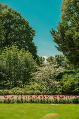Fototapeta premium Colorful Flower Beds and Summer Benches in Oslo’s slottparken Park 오슬로 슬로트파르켄 공원의 화려한 꽃밭과 여름 벤치