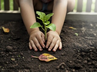 Little Hands, Big Dreams Nurturing Growth and Planting Seeds of Hope for a Brighter Future