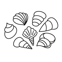 vector illustration of a shell