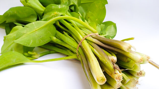a bunch of green genjer vegetables (Limnocharis flava) on white background.