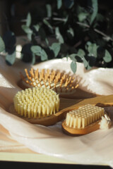 Natural brushes arranged on a soft surface with greenery