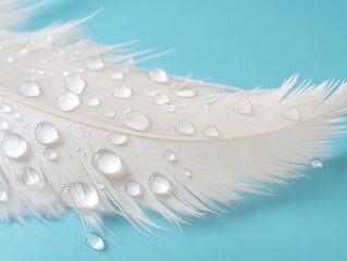 Transparent water droplets on white bird's feather on blue and turquoise background,  - ai