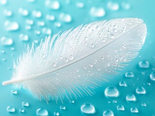 Transparent water droplets on white bird's feather on blue and turquoise background,  - ai