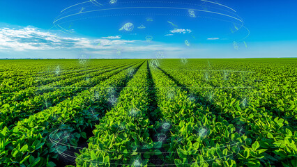 High-tech sustainable agriculture