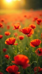 A vibrant field of red poppies swaying gently in the summer breeze, bathed in golden sunlight Perfect for themes of remembrance, peace, and the beauty of nature , peaceful, wallpaper