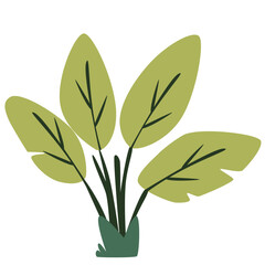2D illustration of a leafy green plant with dark stems and simple style, ideal for eco visuals, nature backgrounds, or flat decoration.
