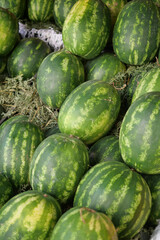 Fresh watermelons displayed at a local market