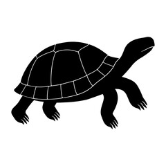 Realstic tortoise silhouette standing view