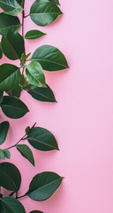 Fresh green leaves on a vibrant pink background (2)