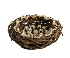 Earthy Altar, A Worn, Rustic Twig Nest Adorned with Animal Bones, Evoking Ancient Forest Witchcraft and Mysterious Sacrificial Rituals