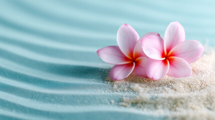 Dreamy tropical flower on white sand, peaceful holiday vibe