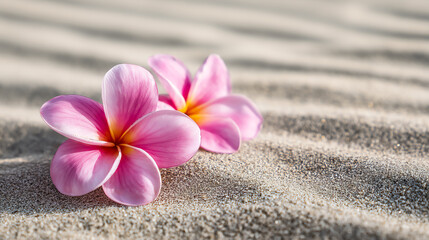 Dreamy tropical flower on white sand, peaceful holiday vibe