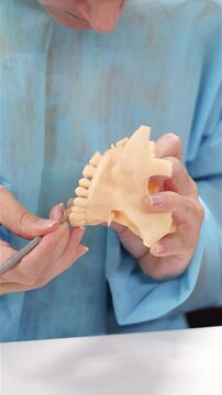 Dental prosthesis in the hands of the doctor close-up. Dentist holding ceramic dental bridge. Front view of complete denture. Dentistry conceptual photo. Prosthetic dentistry. False teeth