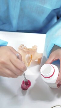 Dental prosthesis in the hands of the doctor close-up. Dentist holding ceramic dental bridge. Front view of complete denture. Dentistry conceptual photo. Prosthetic dentistry. False teeth