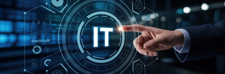 Person interacts with an informational technology interface.