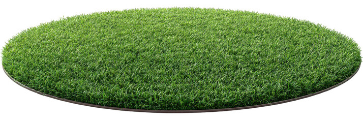 Circular patch of vibrant green grass (5)
