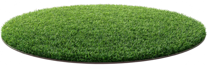 Circular patch of vibrant green grass (5)