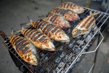 Grilled Fish on Charcoal Grill, Barbecue Seafood Preparation with Burn Marks and Crisp Skin