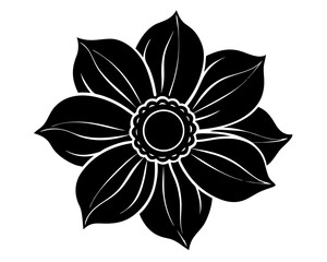 Anemone flower vector silhouette illustration isolated on white background