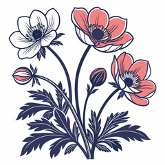 Anemone flower vector silhouette illustration isolated on white background