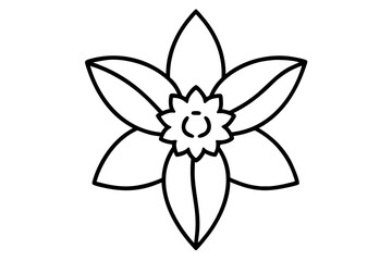 Daffodil vector silhouette illustration isolated on white background