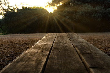 Wooden picnic table with sun rays shining through trees at sunset in a peaceful natural setting