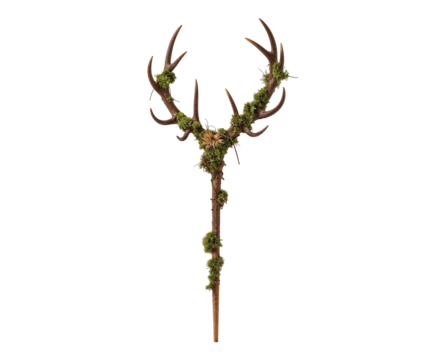 Majestic Deer Antler Staff Adorned with Verdant Moss, Evoking a Sense of Nature and Mystical Charm in Woodland Settings