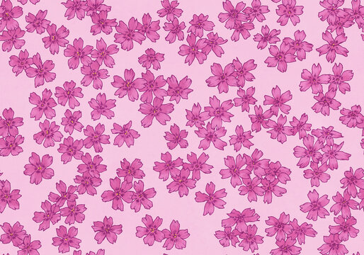 シームレスな芝桜の背景素材